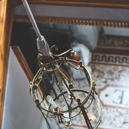 فيلة Private In زيورخ